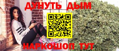 стафф Краснознаменск