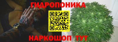 стафф Краснознаменск