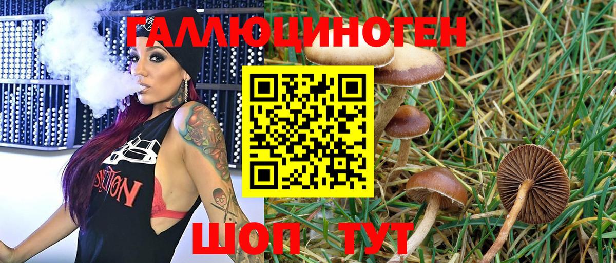 Йошкар-Ола  Псилоцибиновые грибы Psilocybe  Вход с VPN 