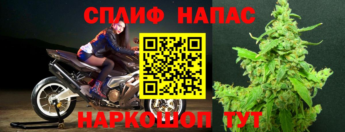 Йошкар-Ола  Бошки Шишки план  Вход с VPN  Канабис тримм 